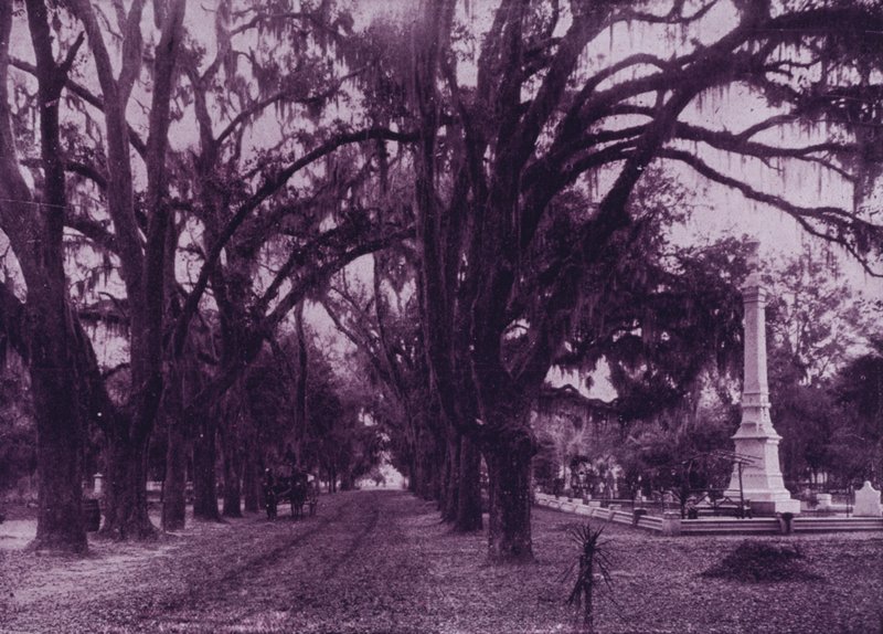 Cementerio Bonaventure, Savannah, Georgia de American Photographer (after)