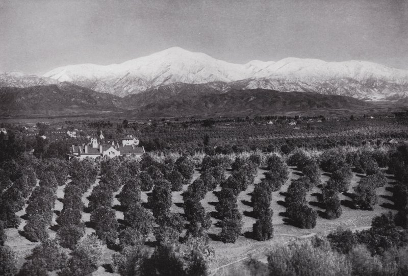 California: Redlands, desde Smiley Heights, sol, huertos de naranjos y picos nevados de American Photographer (after)