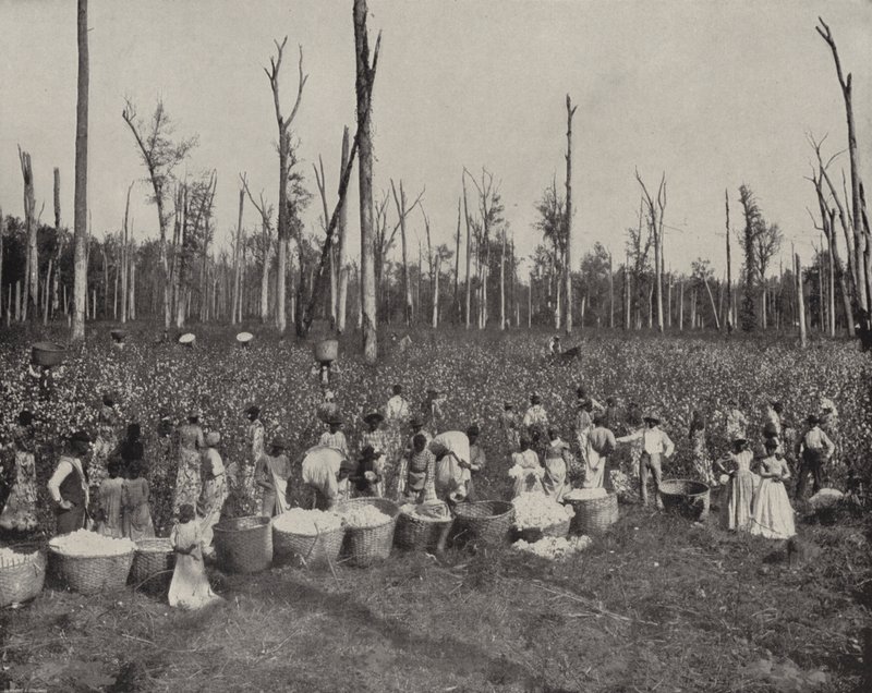 Recolección de algodón en Misisipi de American Photographer (after)
