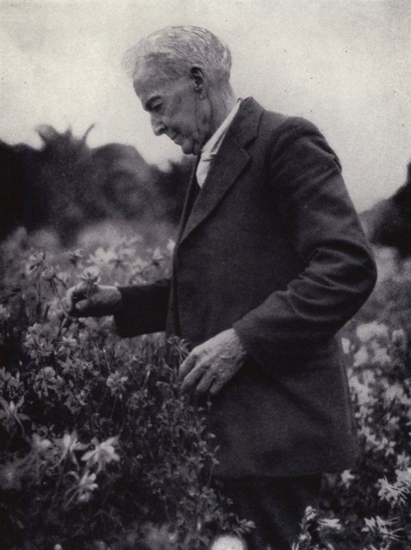 Luther Burbank entre sus flores de American Photographer (after)