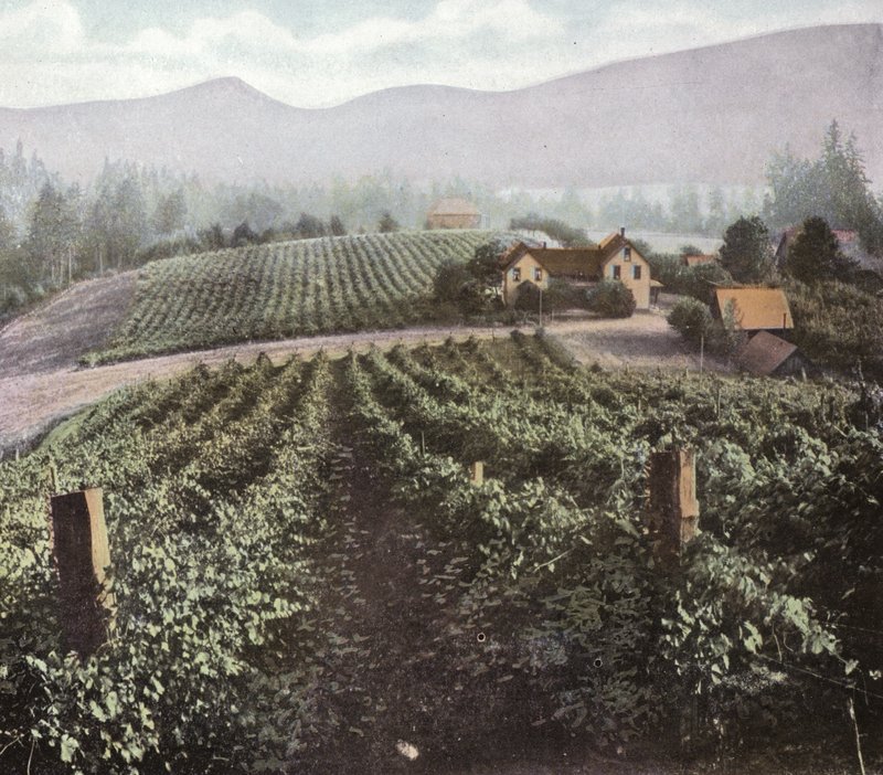 Oregón: Agricultura diversificada en el Valle de Willamette (foto) de American Photographer (after)