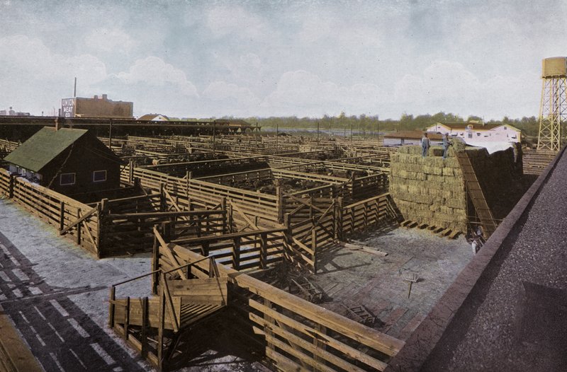 Oregón: Union Stock Yards de Portland de American Photographer (after)