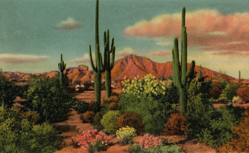 Phoenix, Arizona: Camel Back Mountain y Desierto de American Photographer (after)