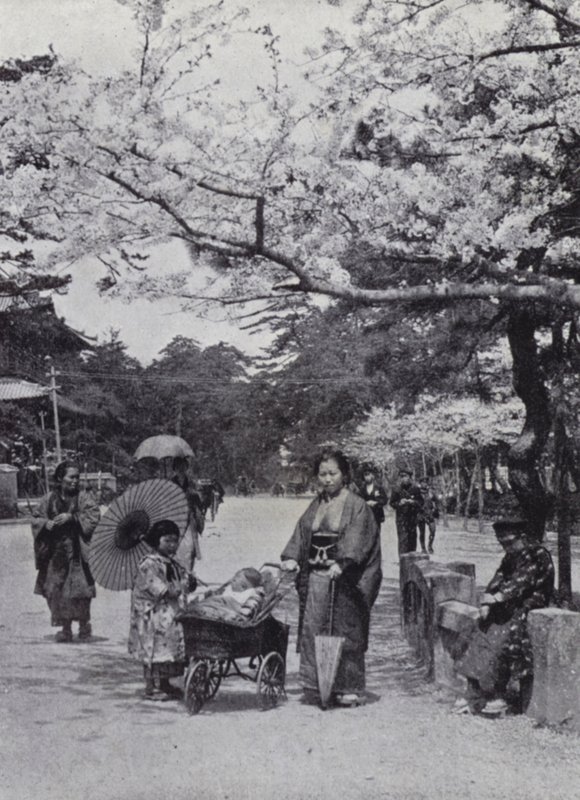 Bajo los cerezos en flor en el Parque Shiba, Tokio (foto en blanco y negro) de American Photographer (after)