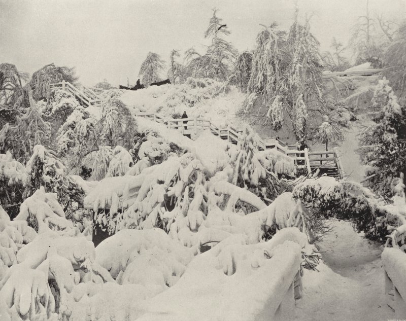 Follaje de Invierno en la Isla Luna de American Photographer (after)