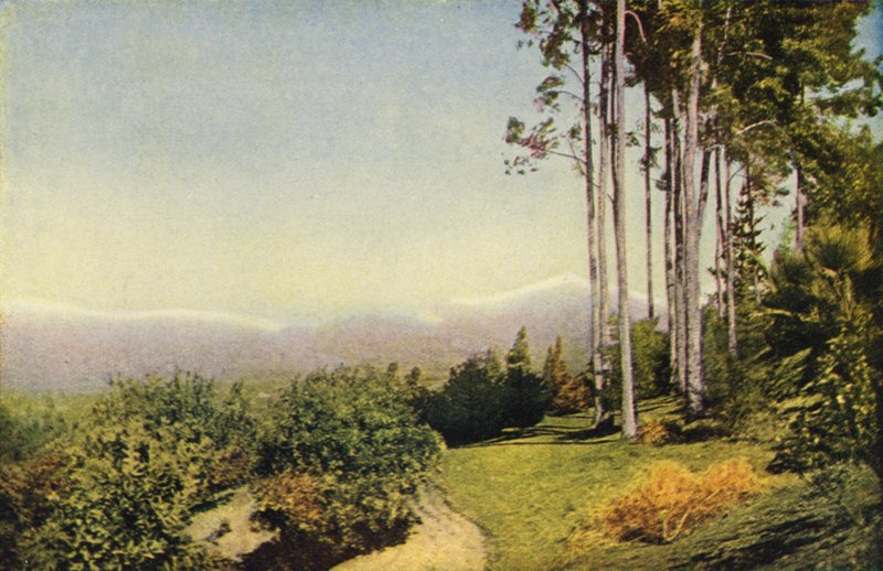 Un paisaje del sur de California cerca de Redlands (foto en color) de American Photographer