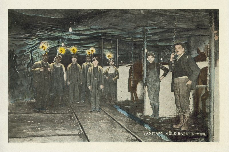Minería del carbón en Estados Unidos: Establo sanitario para mulas en la mina (foto en color) de American Photographer