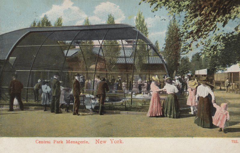 Central Park Menagerie, Nueva York (foto) de American Photographer