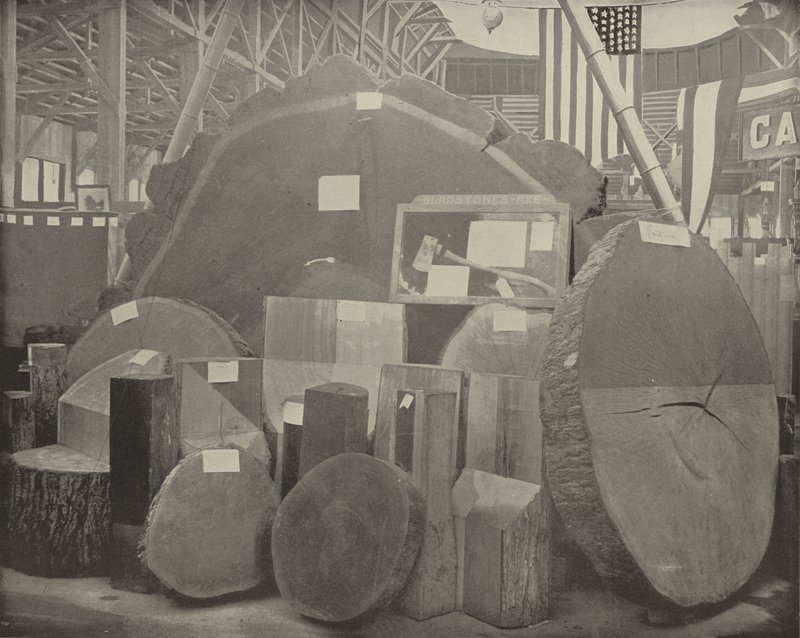 El Hacha de Gladstone de American Photographer
