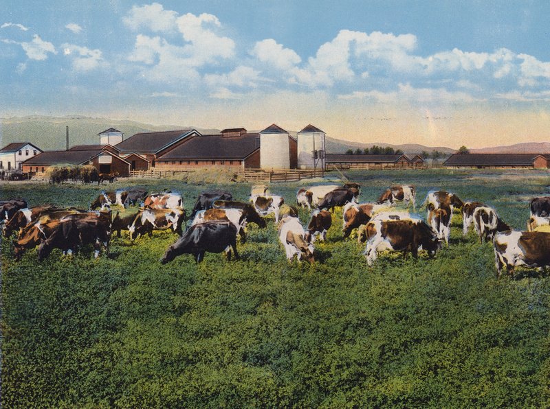 H R Timm Dairy, Dixon, California (foto en color) de American Photographer
