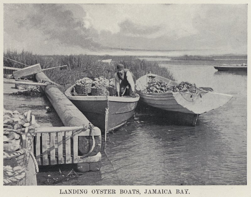 Desembarco de Barcos de Ostras, Bahía de Jamaica de American Photographer