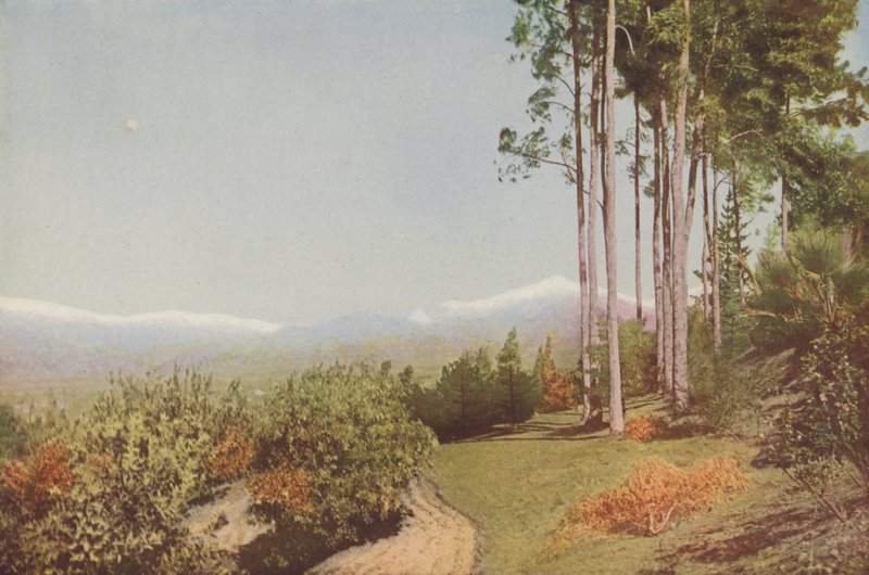 "Old Baldy", de Smiley Heights, California (foto coloreada) de American Photographer