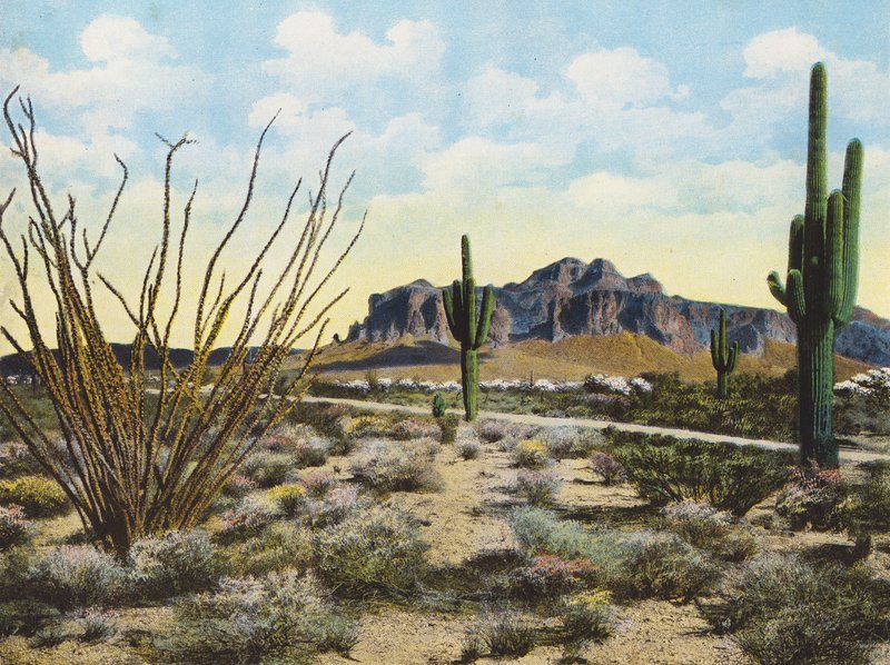 Superstition Mountain and Desert, "Apache Trail" (foto en color) de American Photographer