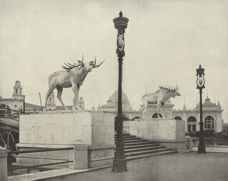 El Puente del Alce de American Photographer