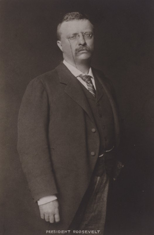 Theodore Roosevelt, 26º Presidente de los Estados Unidos, 1904 de American Photographer