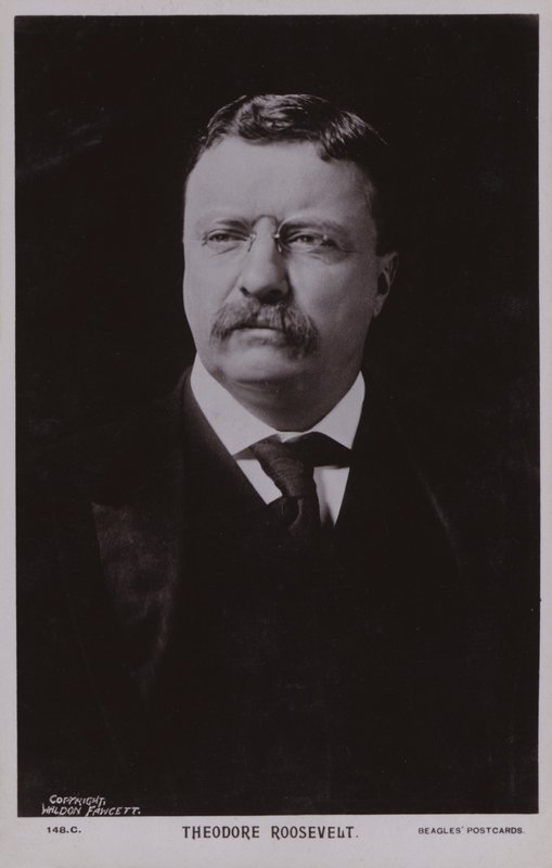 Theodore Roosevelt, político estadounidense y 26º Presidente de los Estados Unidos (foto b/n) de American Photographer