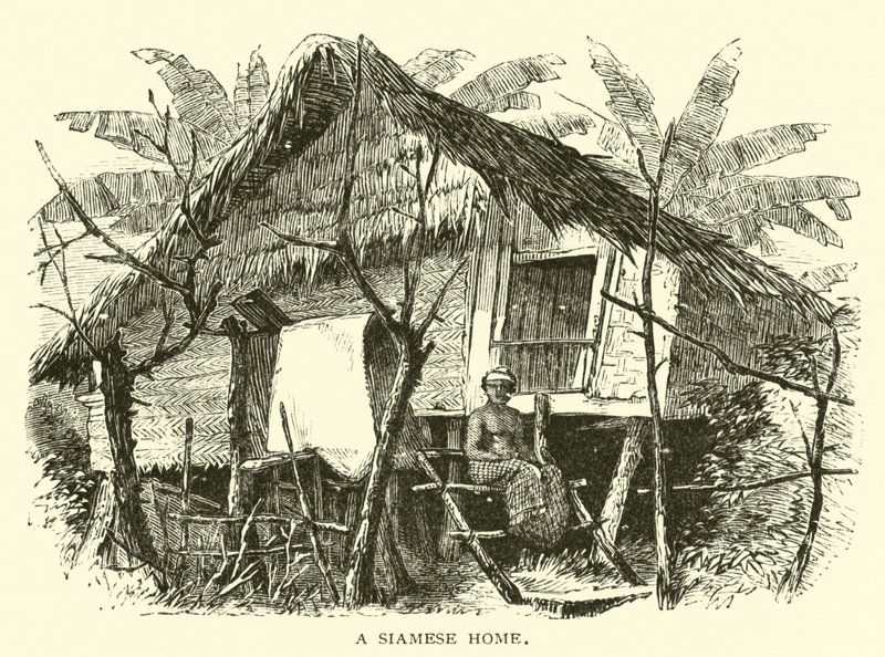 Un hogar siamés de American School