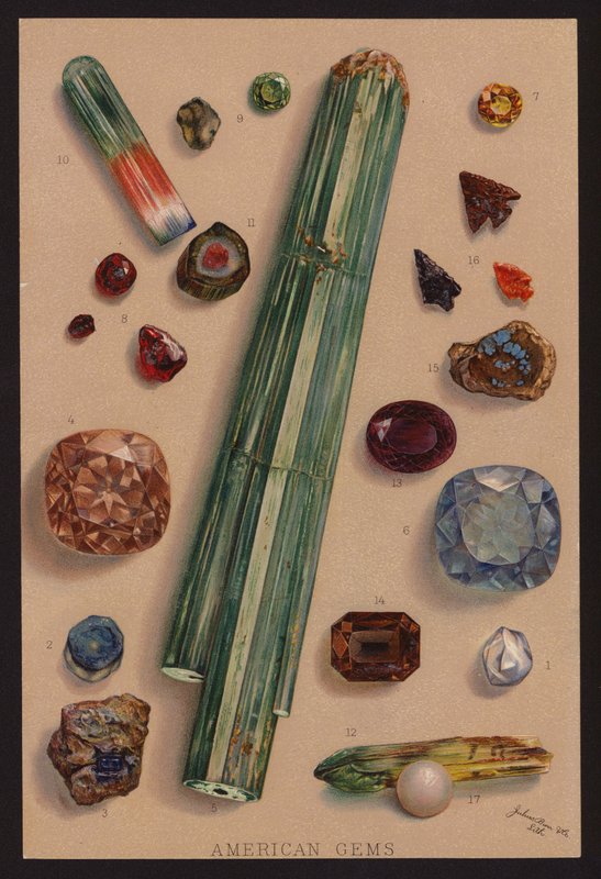 Gemas americanas (litografía en color) de American School