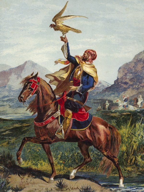 Jinete árabe, con halcón de American School