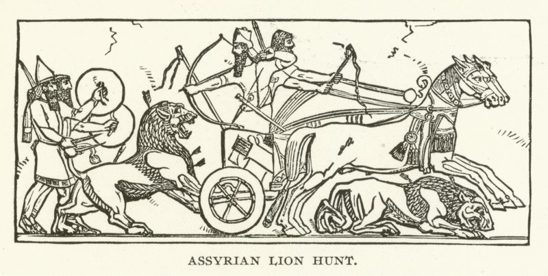 Caza de leones asiria de American School