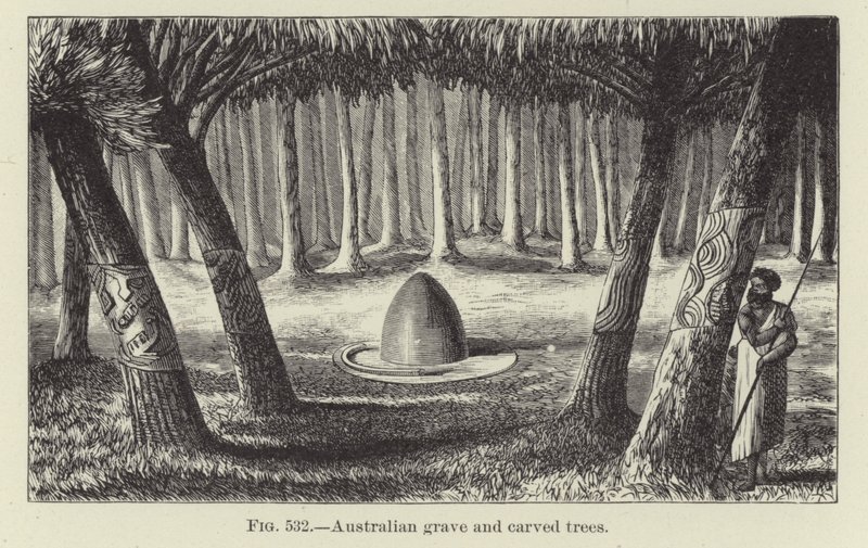 Tumba australiana y árboles tallados de American School