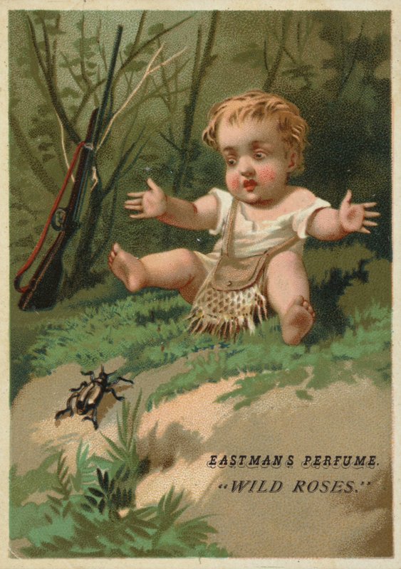 Bebé en el bosque de American School