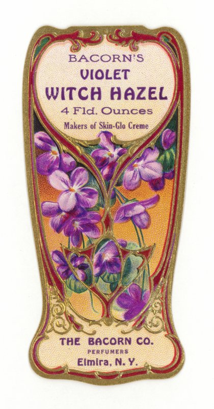 Etiqueta de Hamamelis Violeta Bacorns de American School