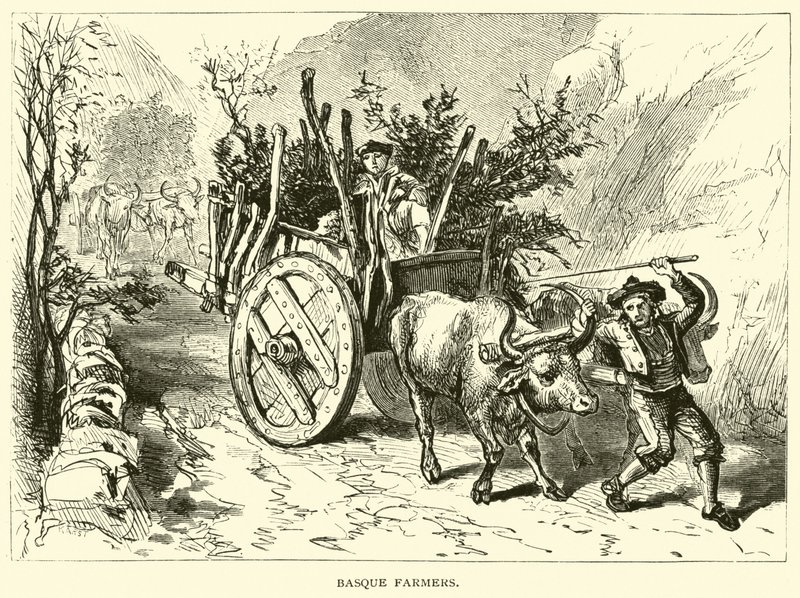 Granjeros vascos de American School