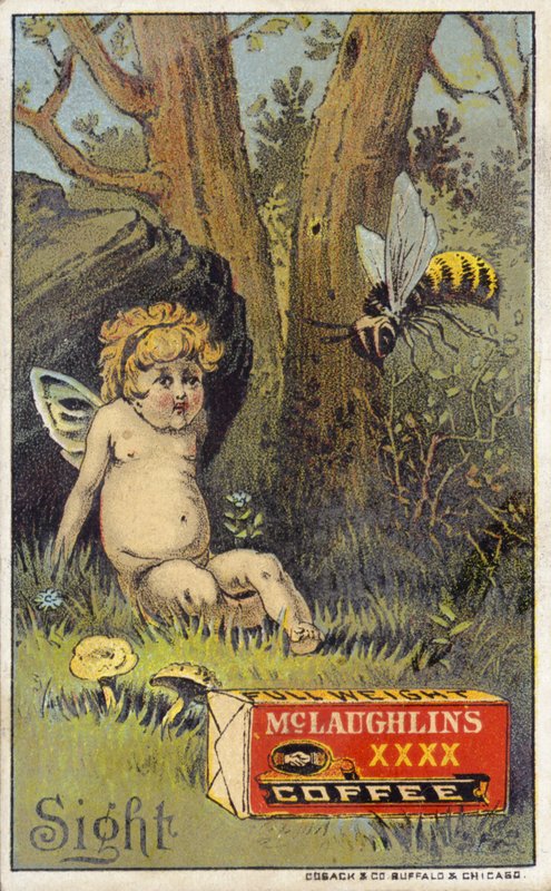 Abeja atacando a putto de American School