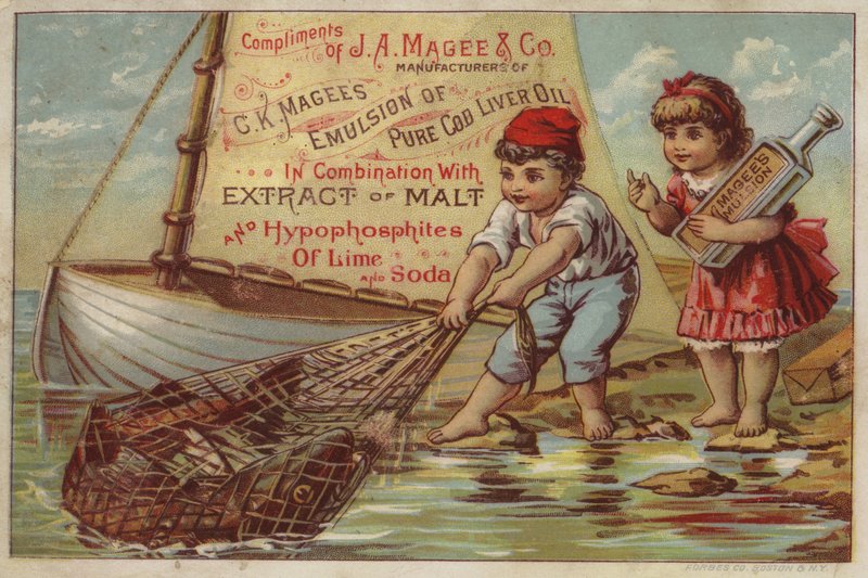 Niño tirando de la red de pesca de American School