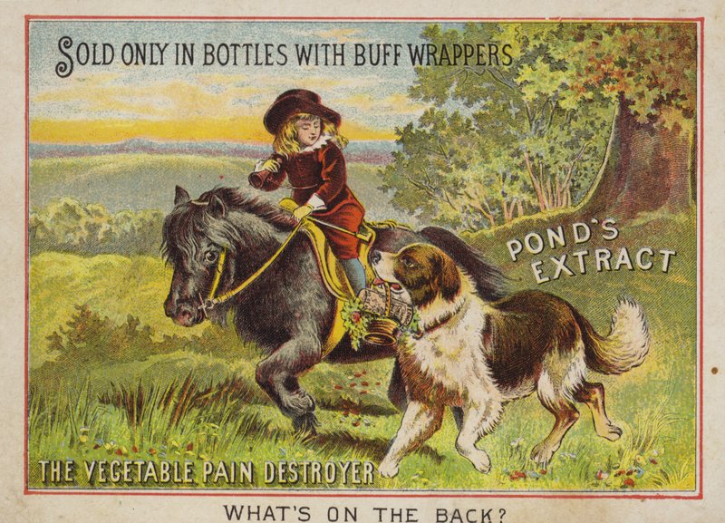 Niño montando un pony con su perro de American School