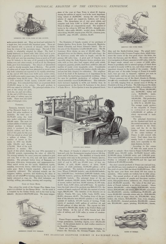 Exhibición de gusanos de seda brasileños en el Salón de Maquinaria, Exposición del Centenario, Filadelfia, Pensilvania, EE.UU. de American School