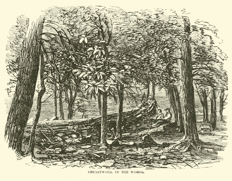 Parapeto en el bosque, julio 1863 de American School