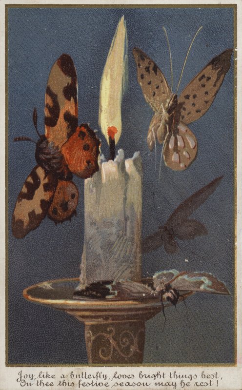 Mariposas alrededor de una vela encendida de American School