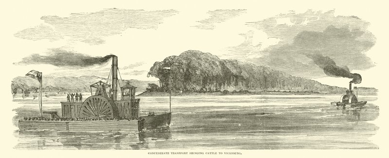 Transporte confederado llevando ganado a Vicksburg, febrero 1863 de American School