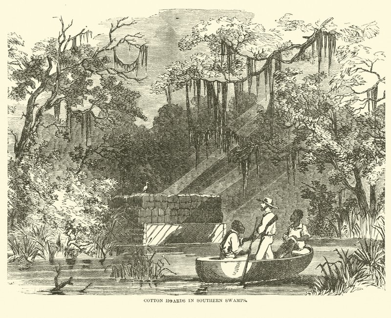 Alijos de algodón en los pantanos del sur, julio 1862 de American School