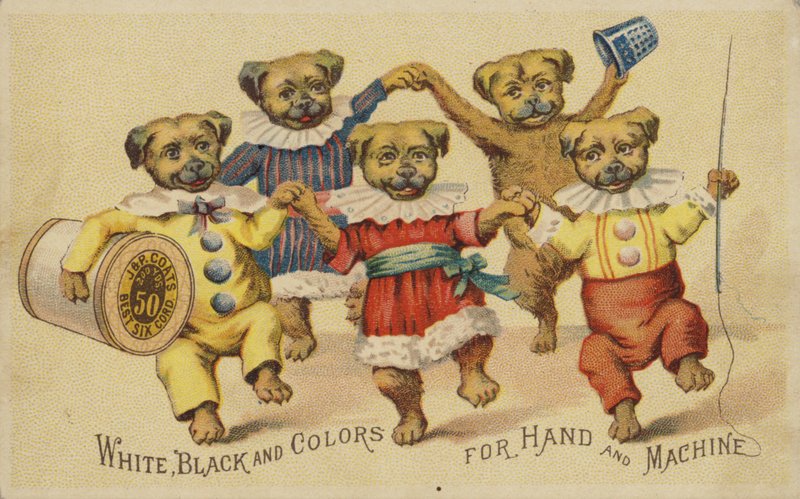 Perro bailando con ropa de American School