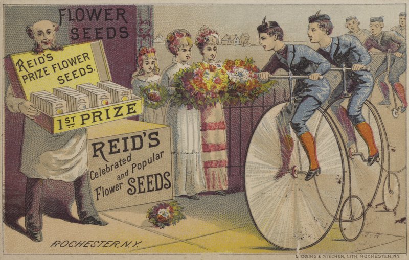 Semillas de flores (chromolitho) de American School