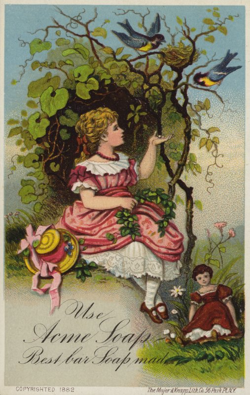 Niña alimentando pájaros de American School