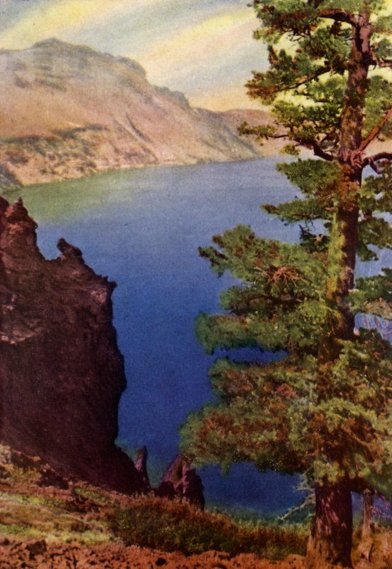 Parque Nacional Glacier (litografia en color) de American School