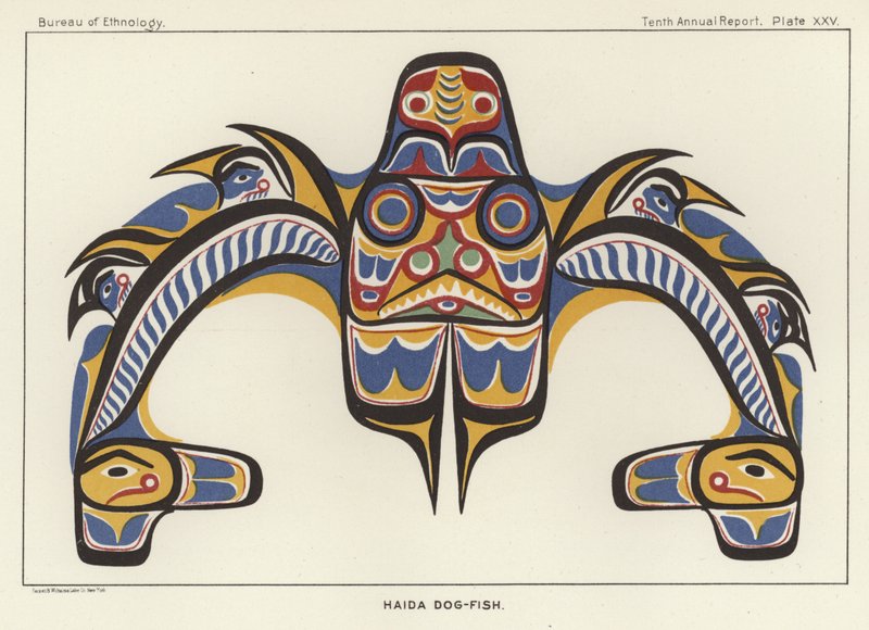 Pez perro Haida de American School
