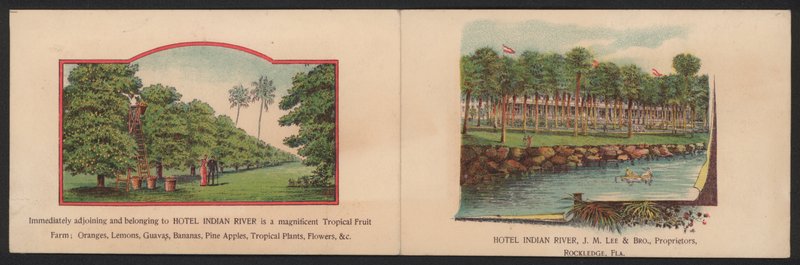 Tarjeta comercial de hotel de American School
