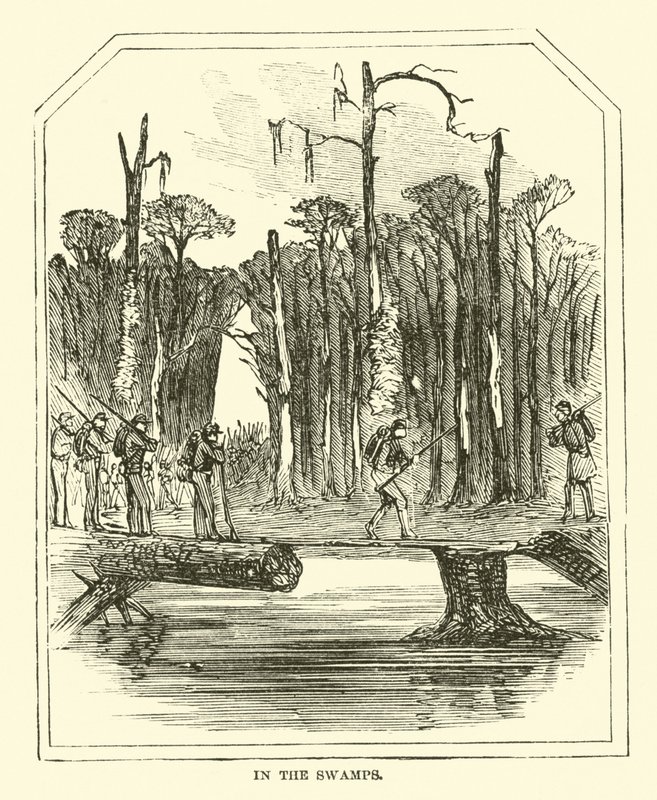 En los pantanos, marzo 1863 de American School