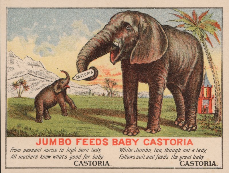 Jumbo alimenta al bebé Castoria, anuncio de la medicina Castoria de Fletcher, con el famoso elefante de circo de P.T. Barnum de American School