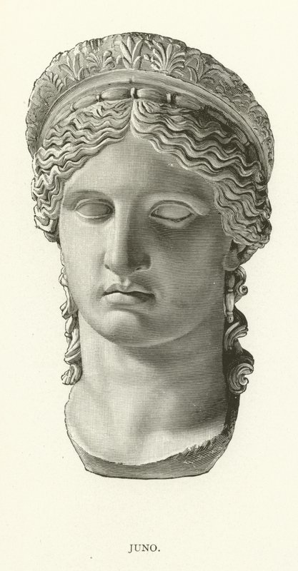 Juno de American School
