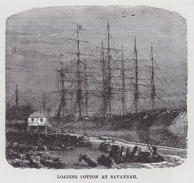 Cargando algodón en Savannah de American School