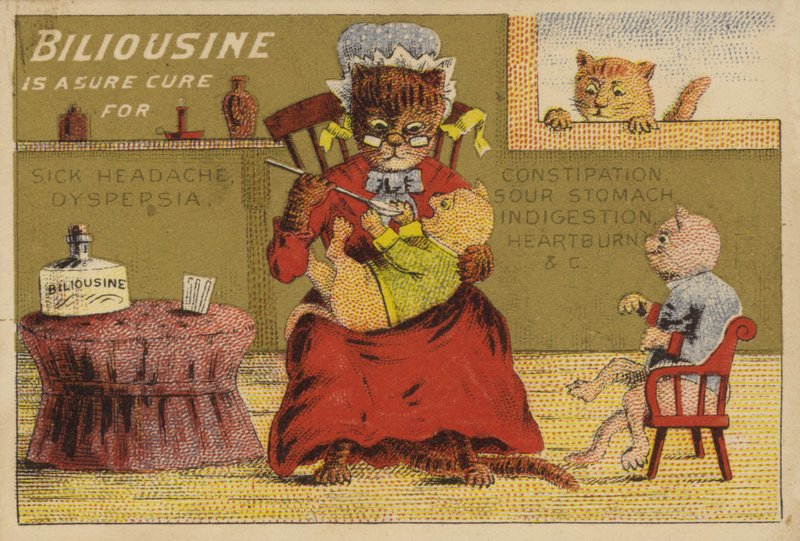 Hora de la medicina para los gatos de American School