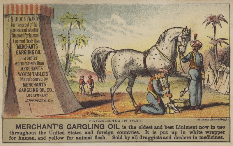 Aceite de Gargling del Comerciante de American School
