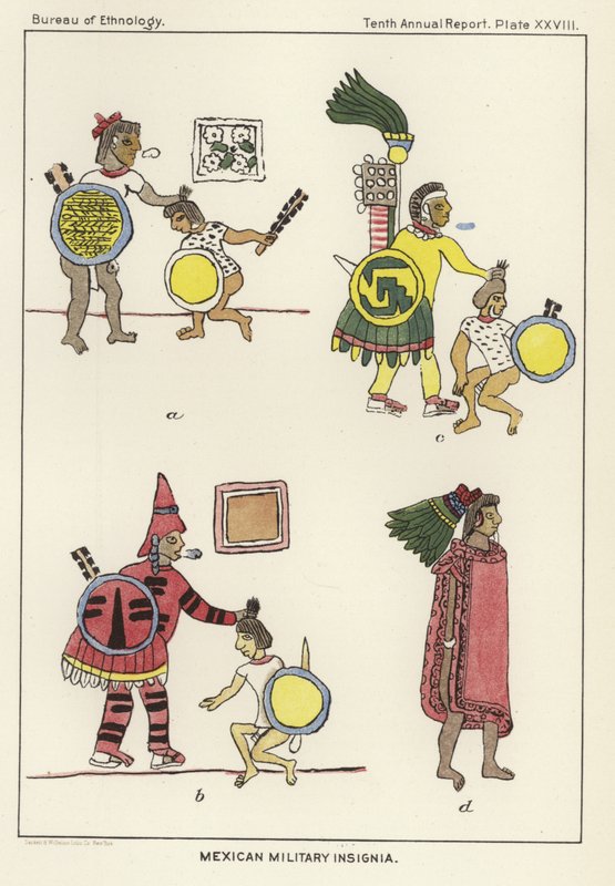 Insignias militares mexicanas de American School