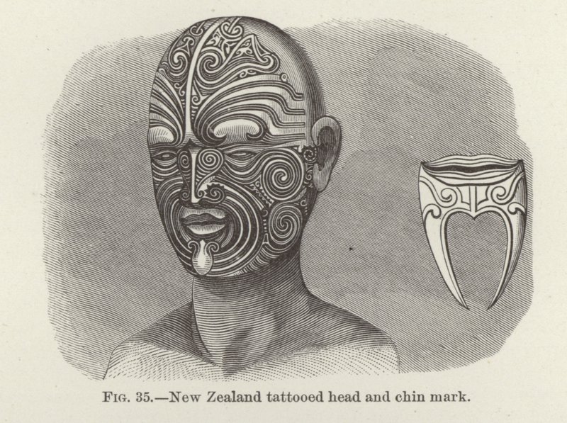 Cabeza y marca de barbilla tatuadas de Nueva Zelanda de American School